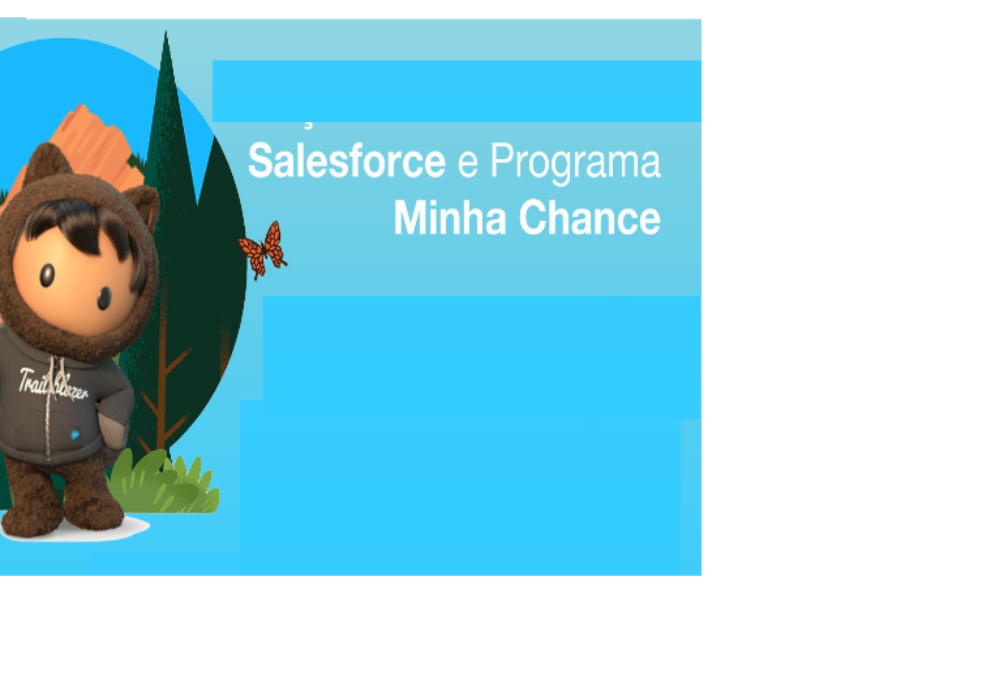 CURSO FORMAÇÃO DE DESENVOLVEDOR  SALESFORCE